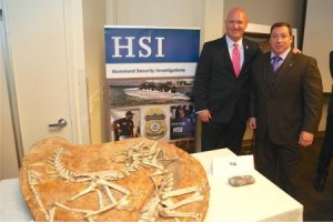 HSI Special Agent in Charge James T. Hayes Jr. (left), stands with Daniel Brazier (right), HSI special agent, the case agent, next to a slab with two "Gallimimus" dinosaur fossils. On July 10, 2014, in a formal ceremony in Manhattan, ICE and the Justice Department returned to the Mongolian government the fossilized remains of over 18 dinosaur skeletons, including two Tyrannosaurus bataar skeletons that were unlawfully taken from Mongolia.